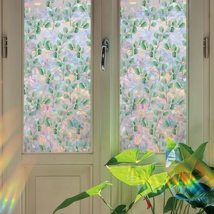 Detailed macro view of green leaf glass film with rainbow prism light refraction effects