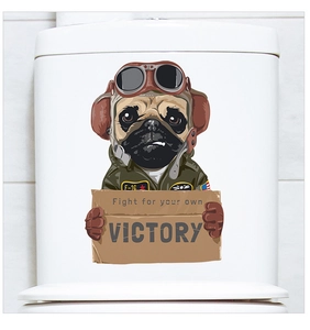 Détail d'un autocollant de carlin pilote avec slogan Victory sur réservoir de WC