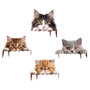 Set of 4 realistic 3D cat head wall stickers featuring cute peek-a-boo pet designs