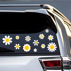 Nahaufnahme wasserfester weißer Gänseblümchen-Aufkleber in verschiedenen Größen am Auto