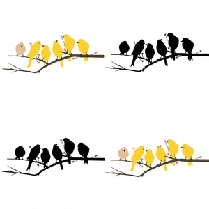 Minimalist self-adhesive wall decals featuring colorful birds and black silhouettes on branches
