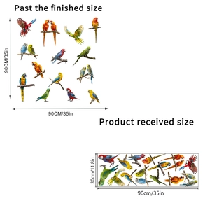 Detail showing colorful parrot wall stickers dimensions and finished size reference