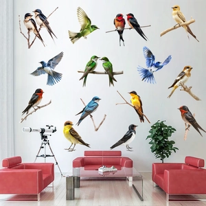 Detail of colorful self-adhesive bird wall stickers featuring multiple bird species on white wall
