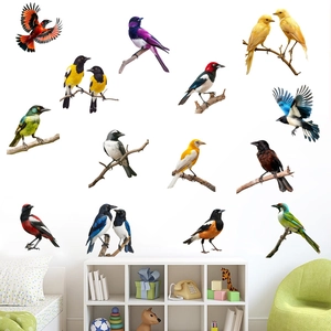 Detail view of colorful PVC bird wall stickers featuring varied species for home decor