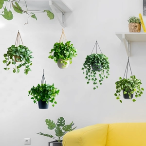 Détail de cinq stickers muraux de plantes suspendues réalistes sur un mur blanc