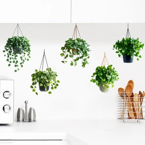 Détail de cinq plantes artificielles suspendues dans des pots pour décoration murale