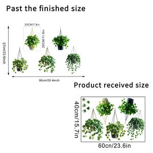 Détails des dimensions des stickers muraux plantes suspendues et mise en page du colis
