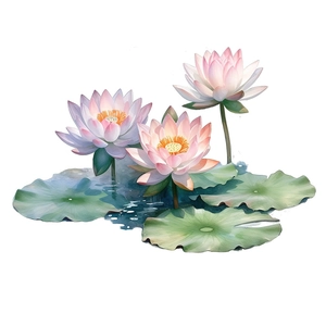 Stickers aquarelle nénuphars et lotus aux pétales rose pâle pour décoration murale