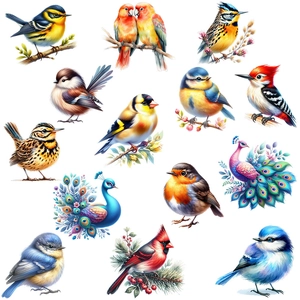 Stickers muraux détaillés d'oiseaux à l'aquarelle avec des perroquets et des paons colorés