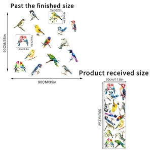 Detail of multi-colored realistic bird wall stickers with specific product dimensions