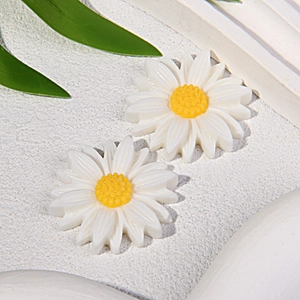 Macro di accessori floreali a margherita in resina bianca con cuore giallo su pietra