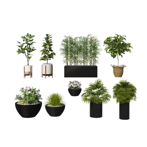 Self-adhesive wall stickers featuring diverse 3D potted green plants and artificial shrubs