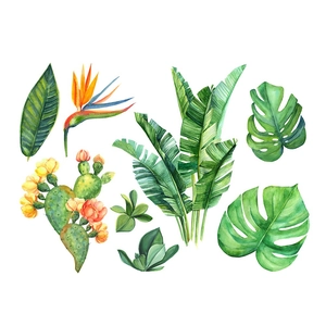 Tropical watercolor plant wall stickers featuring monstera leaves and cactus on white background