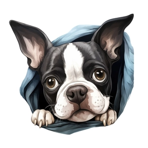 Cartoon Boston Terrier waterproof wall sticker peeking from a blue hole detail