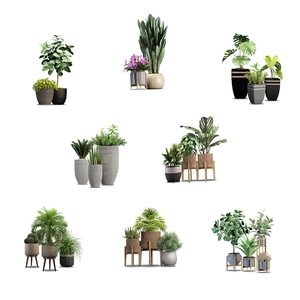 Self-adhesive wall stickers set with assorted potted green plants and palm leaves