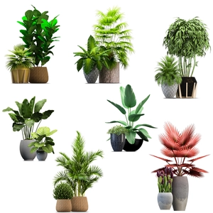 Waterproof wall stickers featuring tropical potted plants like palm and monstera