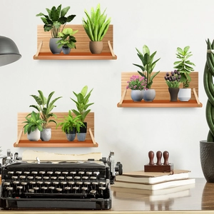 Detail of three wall-mounted wood shelves with hanging straps and small green potted plants