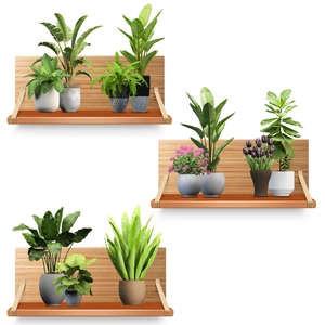 Modern wood wall shelves with green potted plants in a minimalist Nordic interior style