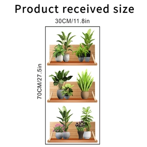 Detail showing the received layout size 30x70cm for 3D shelf and plant wall stickers