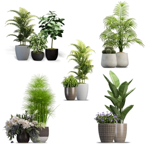 Set of six potted indoor green plants with diverse leaves and modern minimalist pots