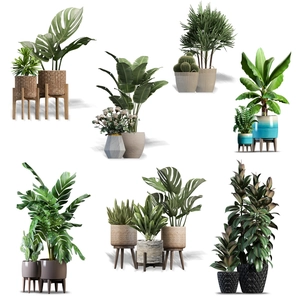 Tropical green plant wall stickers featuring potted monstera and cactus for room decor
