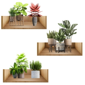Waterproof 3D wall stickers featuring realistic green potted plants in wood frames