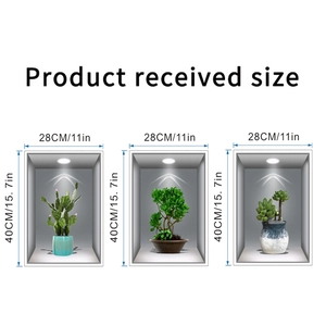 Guide des tailles détaillé pour stickers muraux plantes 3D avec dimensions 28x40cm