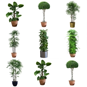 Various indoor green plant wall stickers featuring potted monstera and palm styles