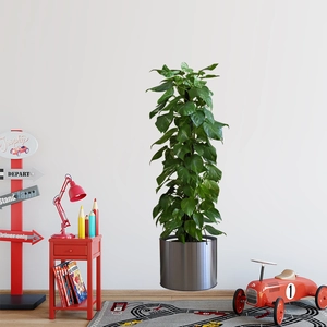 Detail of green potted plant wall sticker with lush leaves in a silver pot