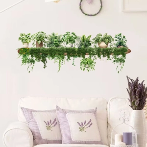 Autocollant mural de plantes vertes suspendues sur une étagère en bois au-dessus du canapé