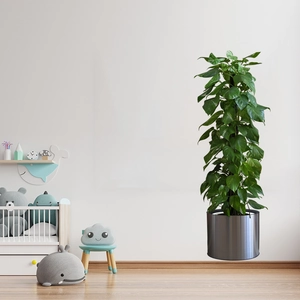 Macro view of green potted plants wall stickers showing lush leaves in modern bedroom decor