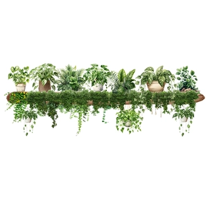 Sticker mural autocollant avec plantes en pot suspendues sur une poutre en bois