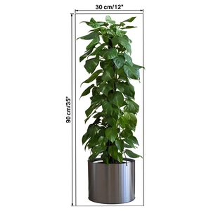 Detailed dimensions of 90cm artificial pothos plant in silver metal pot showing height and width