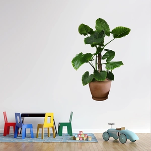 Green leaf potted plant wall stickers for living room decor with large green leaves