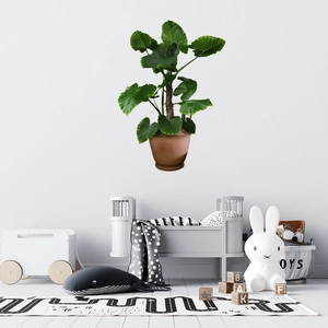 Green leaf potted plant wall sticker for Nordic style living room or children's bedroom decor