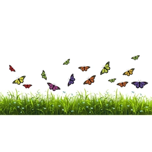 Sticker mural adhésif avec herbe verte et papillons colorés sur fond blanc épuré