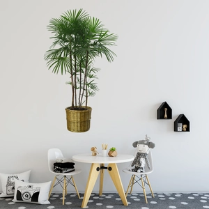 Green tropical potted plant wall sticker with bamboo palm in woven basket for home decor