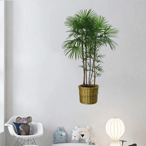 Realistic green palm plant wall sticker in golden woven pot for home wall decoration
