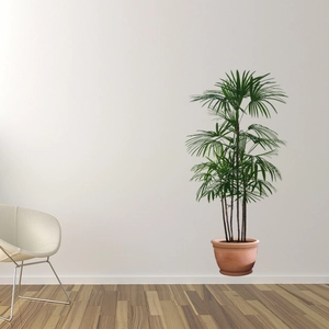 Detail of green palm plant wall sticker with modern white chair and wood floor