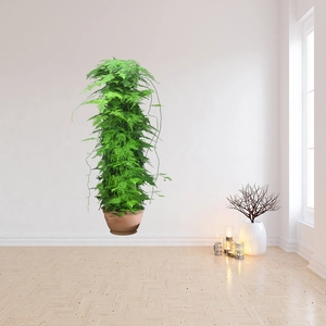 Green potted plant wall sticker for living room decoration on white background