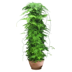 Vertical green potted plant wall sticker with lush leaves in a brown ceramic pot