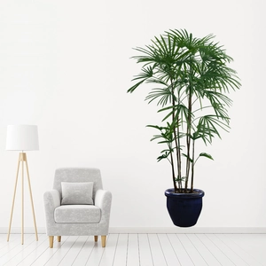 Rhapis excelsa green plant wall sticker for living room and office interior decor