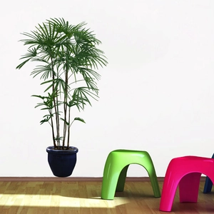 Green leaf potted plant wall stickers and minimalist colorful stools on wooden floor