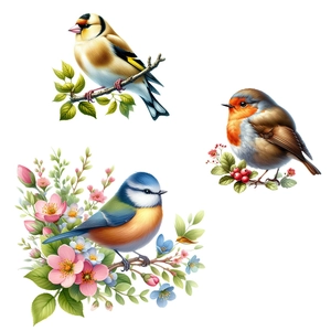 Detail of realistic birds on branches wall stickers with vibrant floral patterns