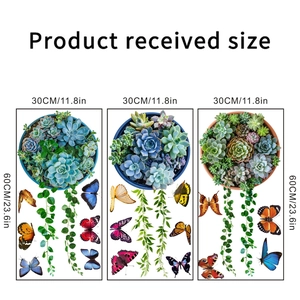 Dimensioni dettagliate degli adesivi murali con piante grasse e farfalle colorate