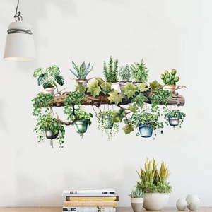 Minimalist wall decals of hanging potted plants like Monstera and cactus on white wall