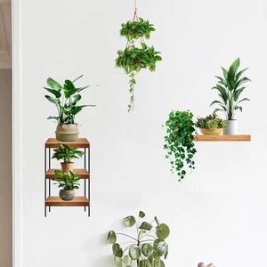 Three styles of minimalist plant stands including hanging shelves and wooden wall racks