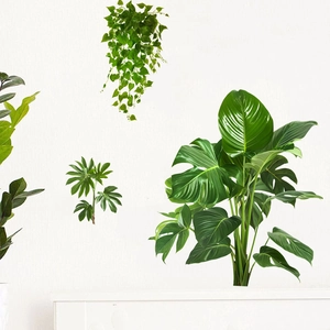 Detail von tropischen Monstera- und Efeublättern mit realistischer grüner Textur-Wandfolie