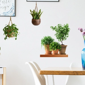 Waterproof self-adhesive wall decals featuring hanging green plants and potted succulents