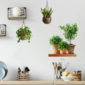 Self-adhesive wall stickers with hanging plants and shelf potted greenery for home decor